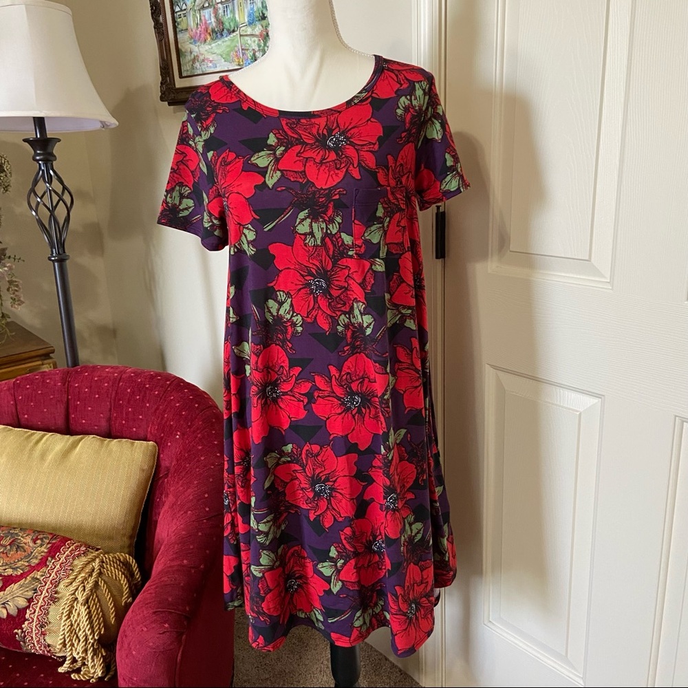 LulaRoe Dress